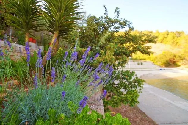 Ev (One Bedroom Holiday Home)