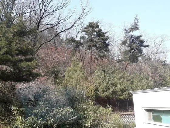 Superior İki Ayrı Yataklı Oda