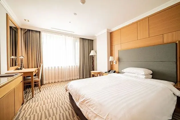 Superior Tek Büyük Yataklı Oda