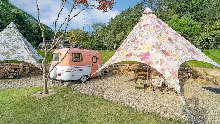 Basic Oda, 1 Yatak Odası (Caravan (Coral orange))