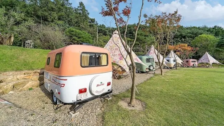 Basic Oda, 1 Yatak Odası (Caravan (Coral orange))