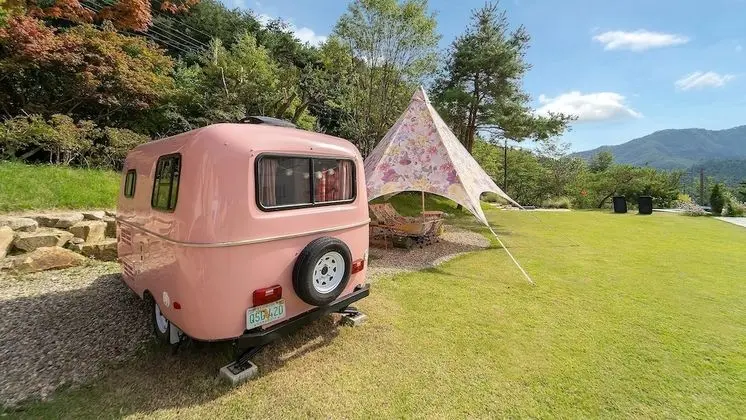 Basic Oda, 1 Yatak Odası (Caravan (Lavenderpink))