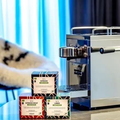 Deluxe Tek Büyük Yataklı Oda, Özel Banyo