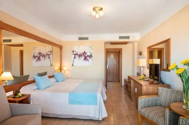 Büyük Yataklı Tek Kişilik Oda (1 adult)