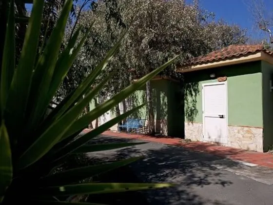 Economy Bungalov