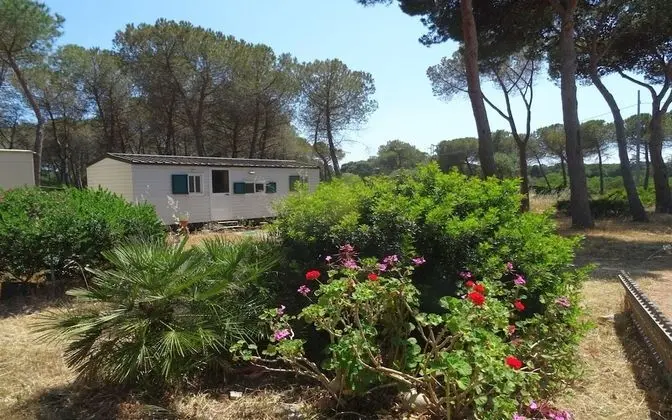 Comfort Karavan, 2 Yatak Odası, Mutfak, Bahçe Manzaralı