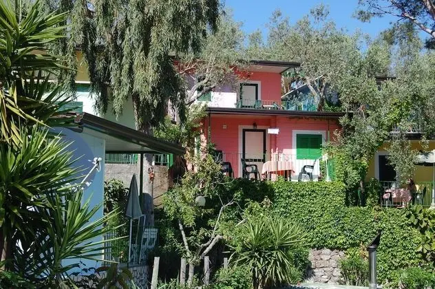 Comfort Stüdyo