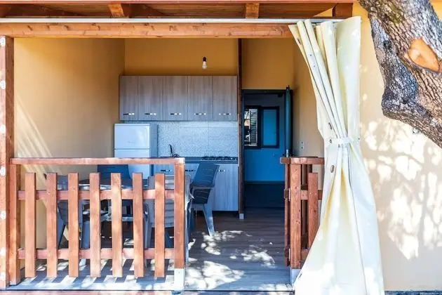 Basic Daire, 1 Yatak Odası