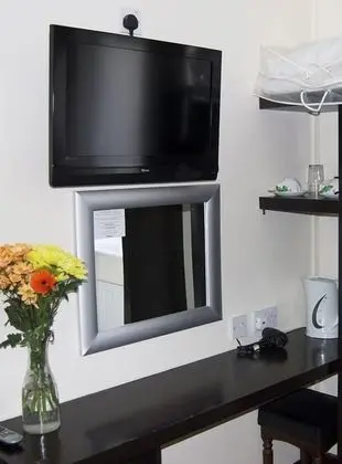 Superior Tek Büyük Yataklı Oda
