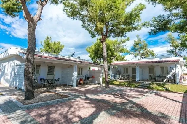 Standard Apart Daire, 1 Yatak Odası, Avlu Manzaralı, Zemin Kat