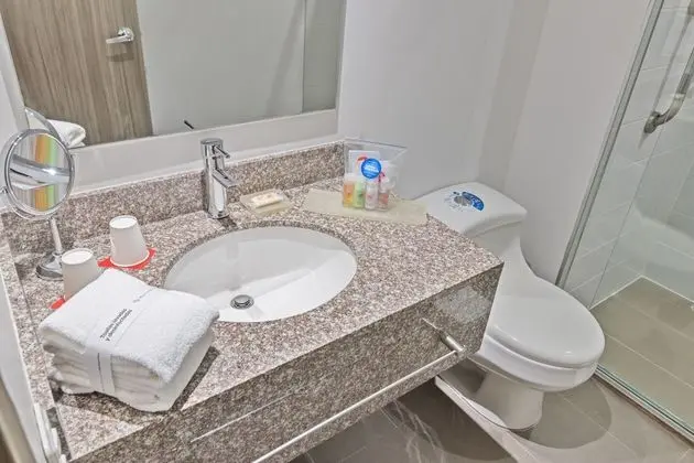 Standard Tek Büyük Yataklı Oda, 1 En Büyük (King) Boy Yatak