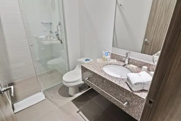 Standard Tek Büyük Yataklı Oda, 1 En Büyük (King) Boy Yatak