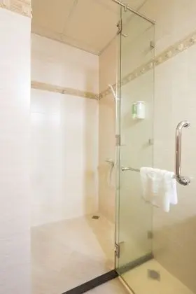 Deluxe Oda, Şehir Manzaralı