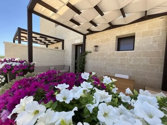 Junior Stüdyo Süit