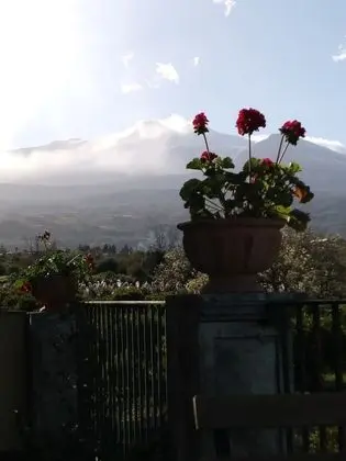 Süit, Deniz Manzaralı