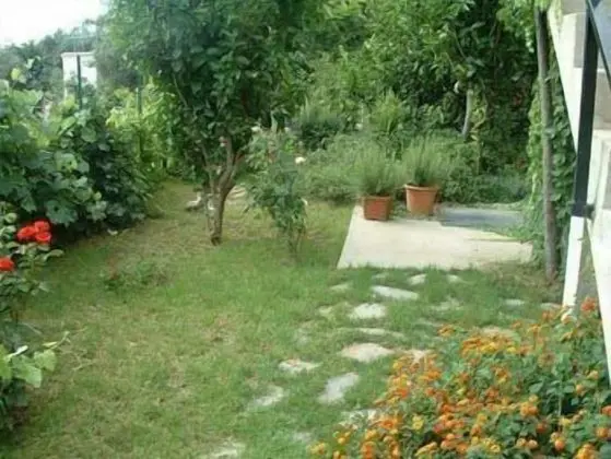 Stüdyo, Okyanus Manzaralı