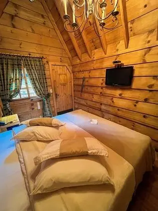 Deluxe Tek Büyük veya İki Ayrı Yataklı Oda