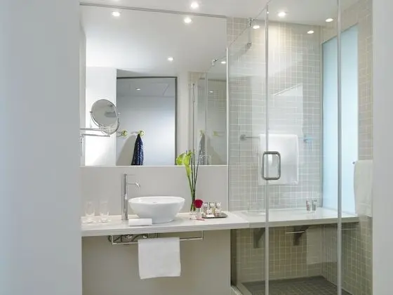 Executive Tek Büyük Yataklı Oda, 1 En Büyük (King) Boy Yatak
