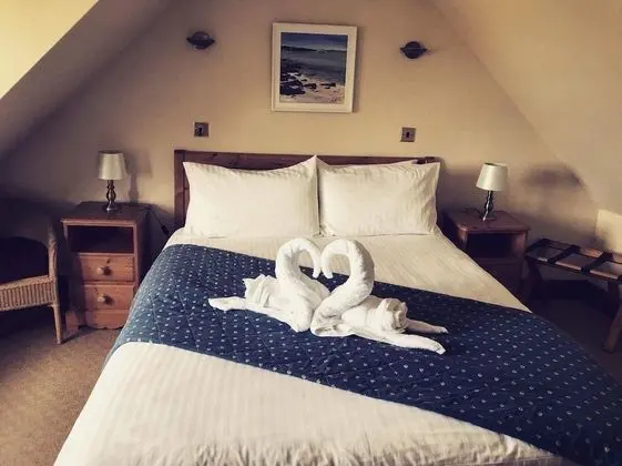 Stüdyo Süit, 1 En Büyük (King) Boy Yatak