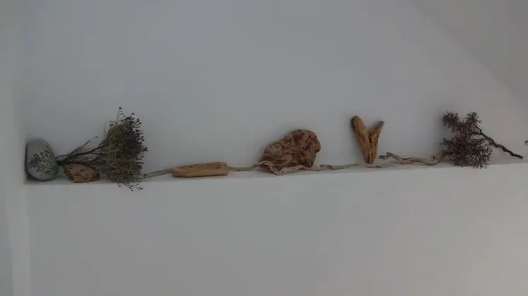 Basic Dört Kişilik Oda, 1 Yatak Odası