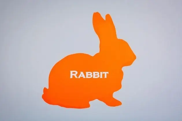 Tek Büyük veya İki Ayrı Yataklı Oda (The Rabbit)