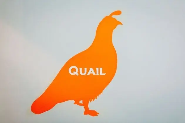 Tek Büyük Yataklı Oda (The Quail)
