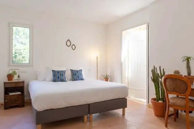 Signature Tek Büyük Yataklı Oda, Engellilere Uygun, Banyolu/Duşlu (Cactaceae)