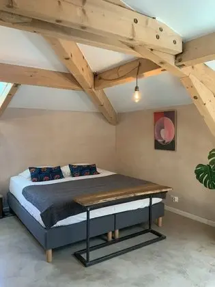 Tek Büyük Yataklı Oda, Banyolu/Duşlu, Bahçe Manzaralı (Philodendron)