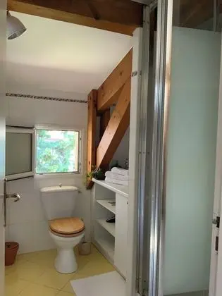 Tek Büyük Yataklı Oda, Banyolu/Duşlu, Bahçe Manzaralı (Philodendron)