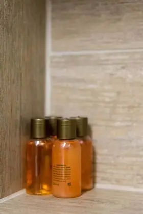 Tek Büyük veya İki Ayrı Yataklı Oda (Ginko 3)