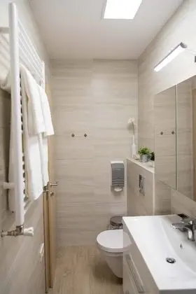 Tek Büyük veya İki Ayrı Yataklı Oda (Ginko 3)