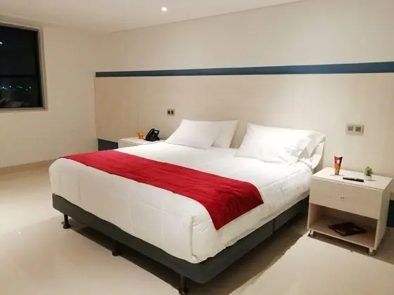 Superior Tek Büyük Yataklı Oda