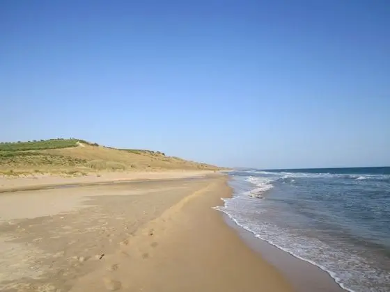 Ev, 1 Yatak Odası, Mikrodalga