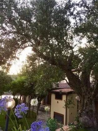 Tek Büyük Yataklı Oda (Ginestra)