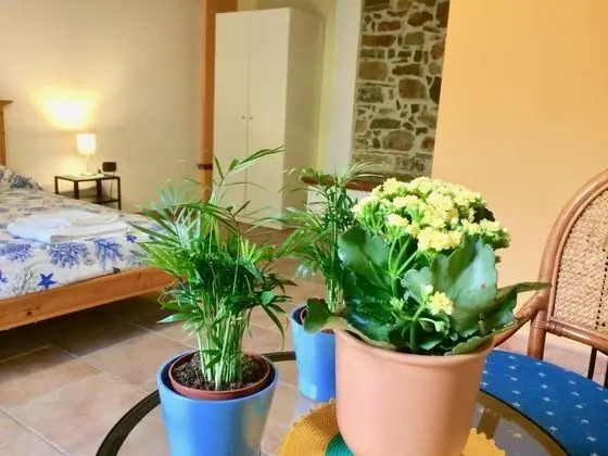 Tek Büyük Yataklı Oda (Magnolia)