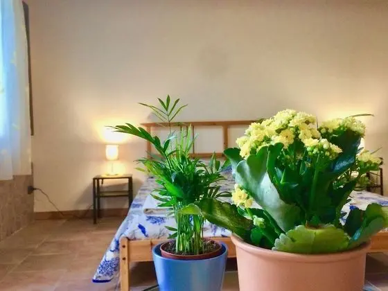 Tek Büyük Yataklı Oda (Magnolia)