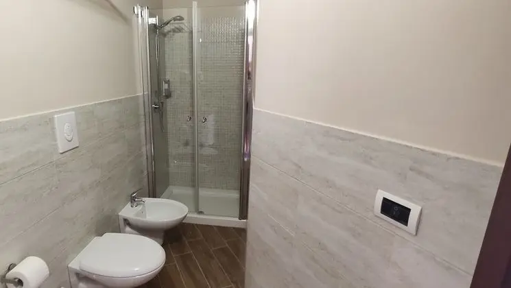 Superior Tek Büyük veya İki Ayrı Yataklı Oda, Şehir Manzaralı (1)