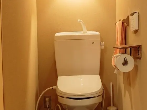 Traditional Tek Büyük Yataklı Oda (Shared Bathroom)