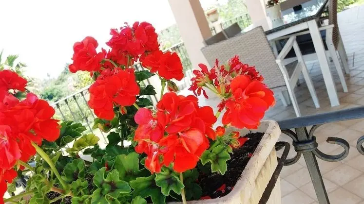Villa, 2 Yatak Odası, Sigara İçilebilir, Buzdolabı
