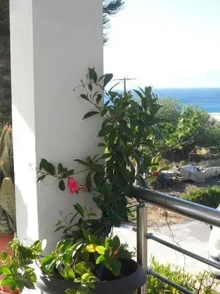 Basic Apart Daire, 1 Yatak Odası, Balkon, Okyanusa Sıfır
