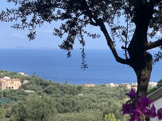 Superior Oda, Deniz Manzaralı