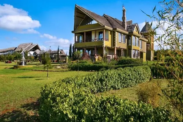 Executive Süit, 1 En Büyük (King) Boy Yatak