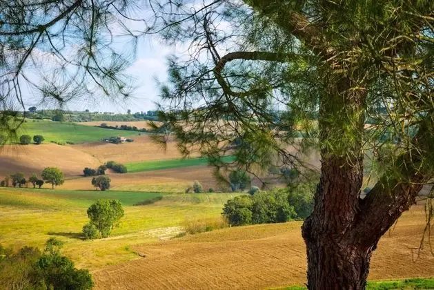 Apart Daire, 2 Yatak Odası, Şömine