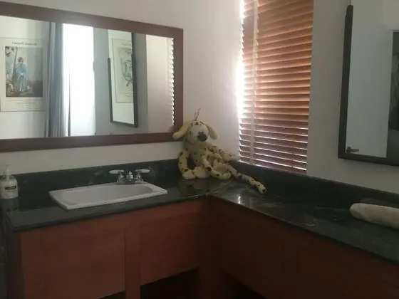 Standard Oda, 1 En Büyük (King) Boy Yatak, Ortak Banyo, Zemin Kat