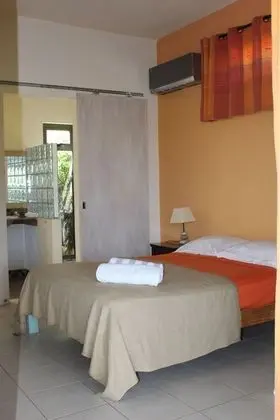Standard Tek Büyük Yataklı Oda, Bahçe Manzaralı