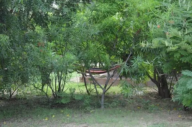 Bungalov, 1 Çift Kişilik Yatak