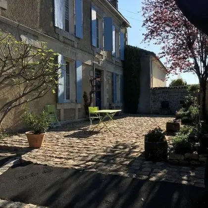 Standard Oda (Verte)