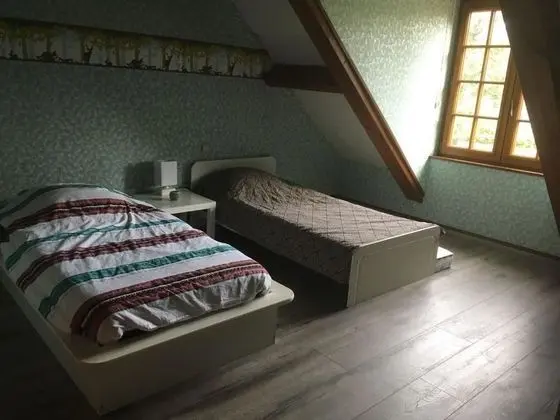 Ev