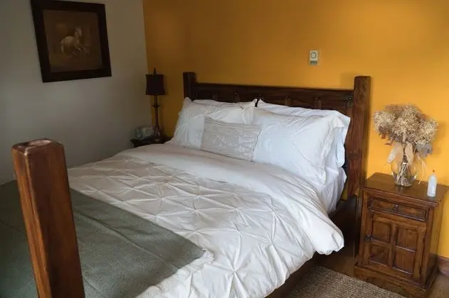 Comfort Tek Büyük Yataklı Oda, Engellilere Uygun, Ortak Banyo (Damascus)