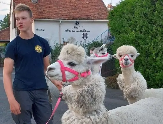 Apart Daire, Banyolu/Duşlu (Les Appartements)